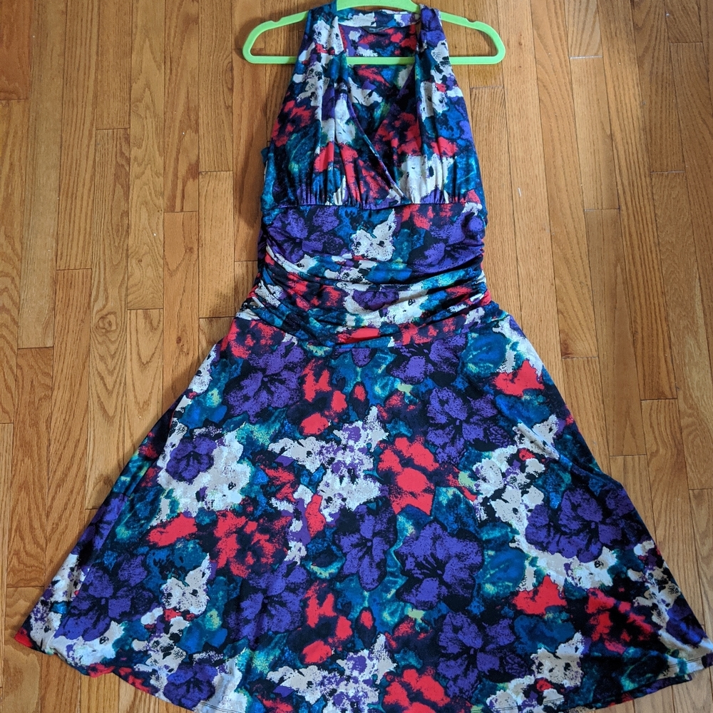 Denver hayes Ladies Fit And Flare Multicolor Dress